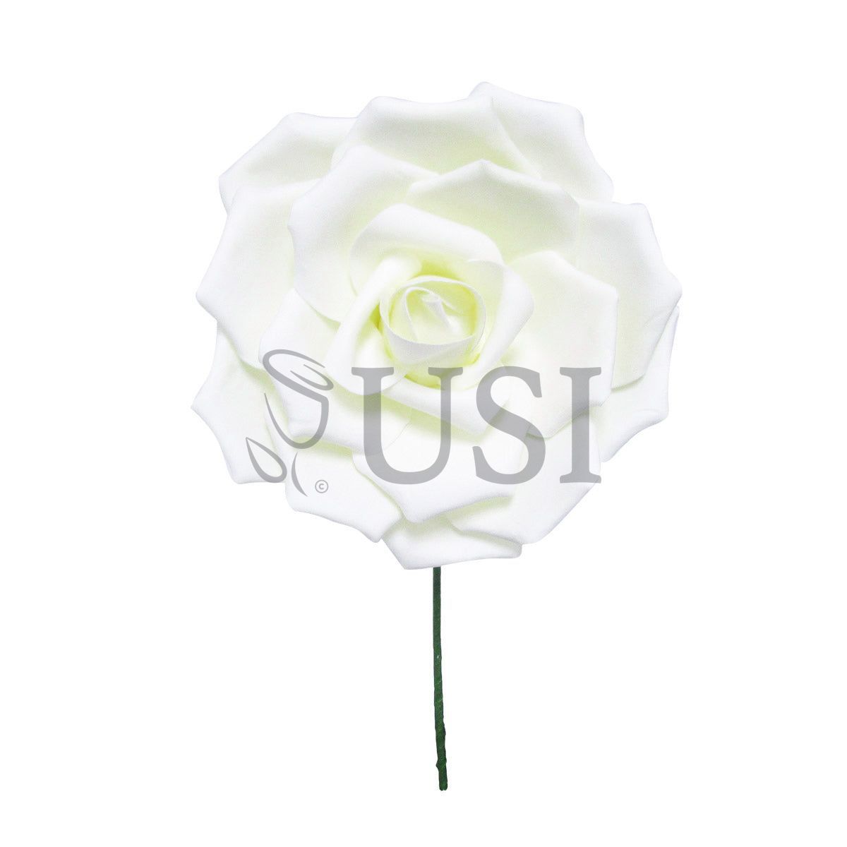 Jumbo Foam Rose, 12in, Cream White (31378 16in, 31379 20in)