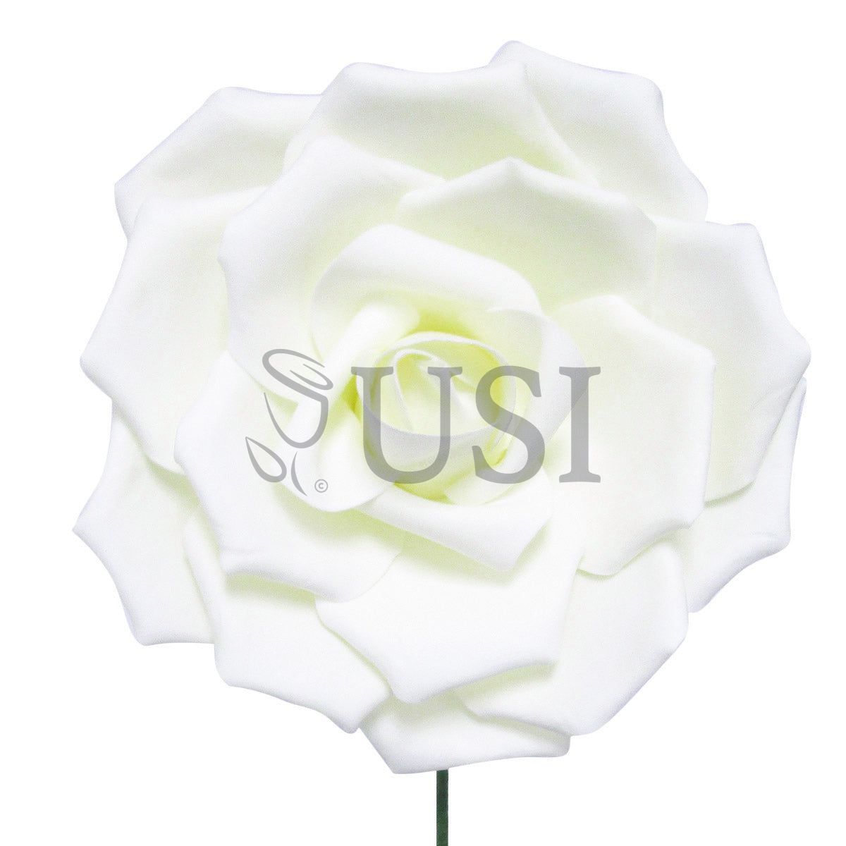 Jumbo Foam Rose, 12in, Cream White (31378 16in, 31379 20in)