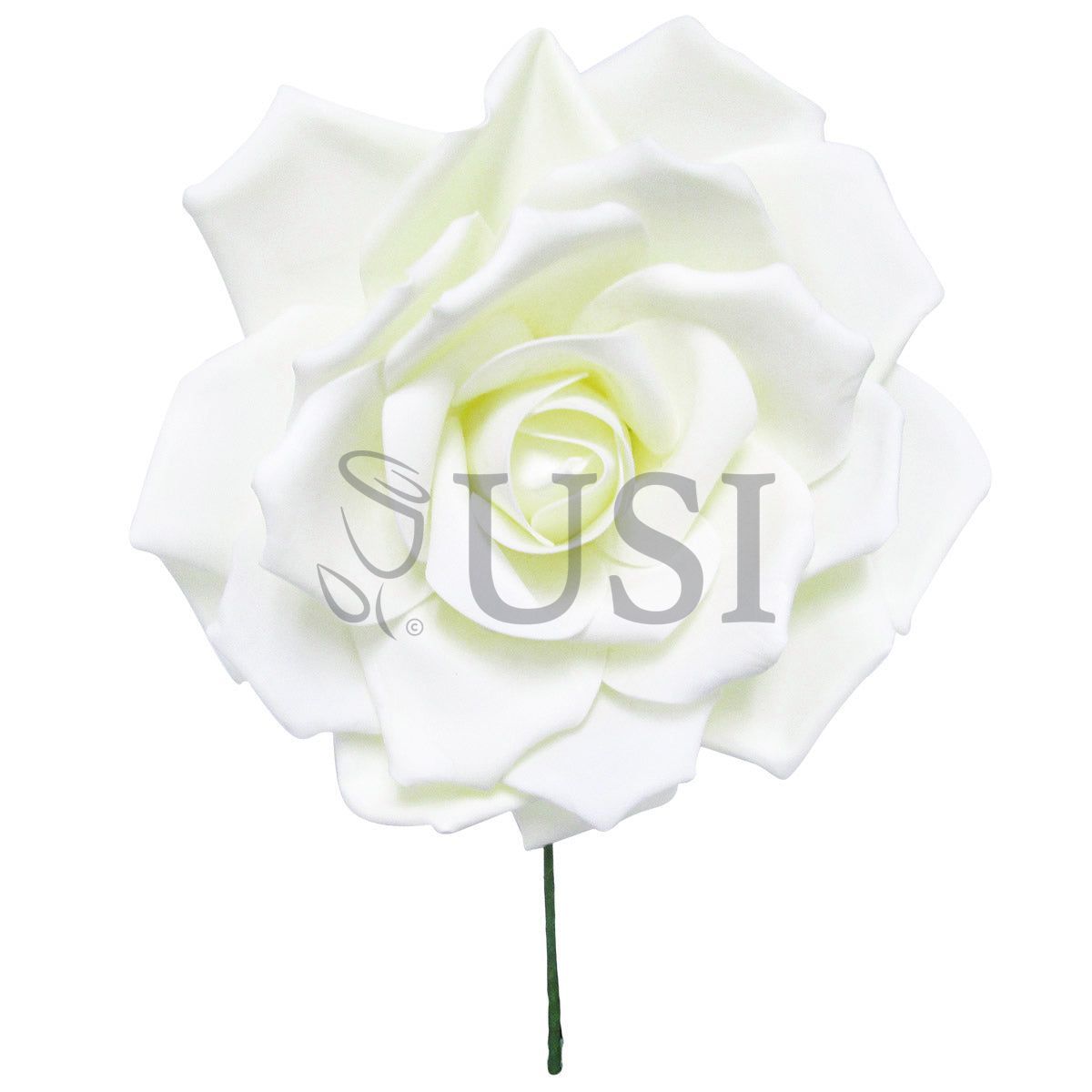 Jumbo Foam Rose, 16in, Cream White (31337 12in, 31379 20in)