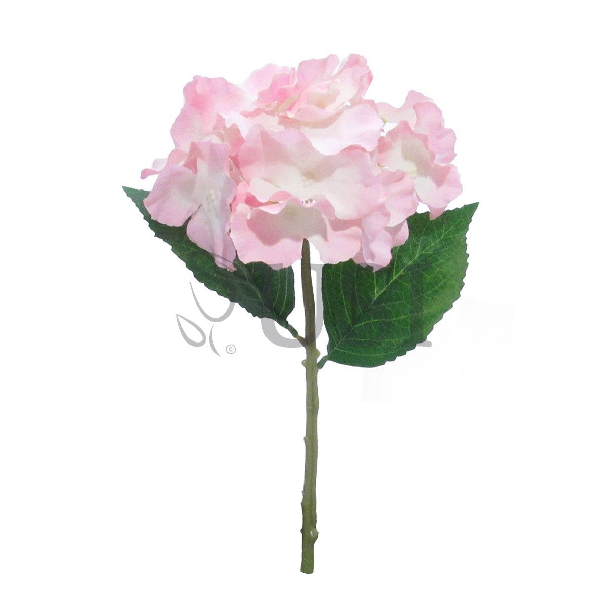 Hydrangea Stem, 14in, Blush Pink