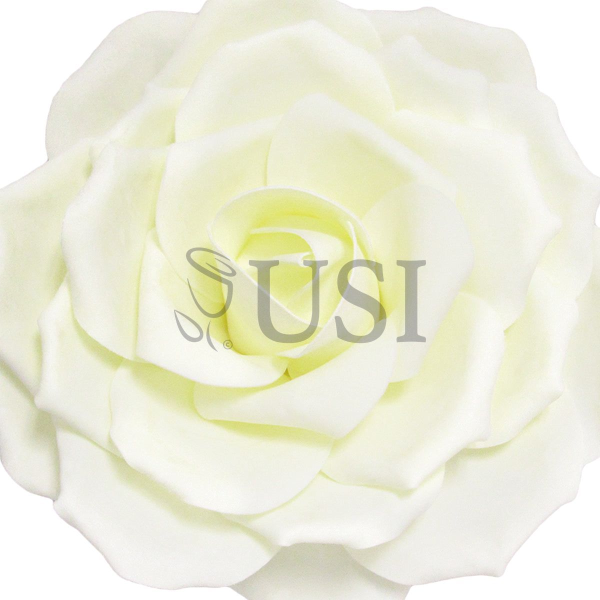 Giant Foam Rose, 20in, Cream White (5 size options)