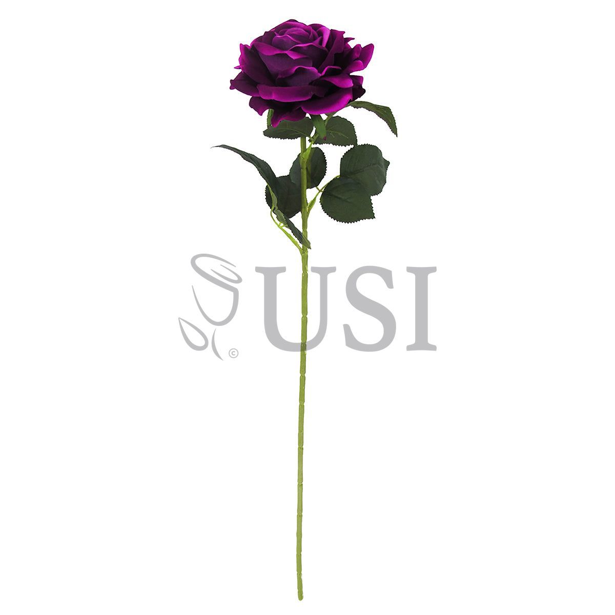 Velvet Jumbo Open Rose Stem, 30in, Plum Purple