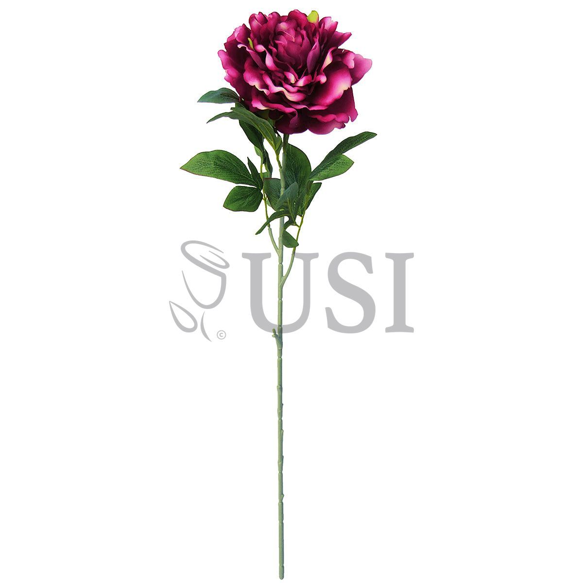Velvet Jumbo Open Peony Flower Stem, 30in, Beauty