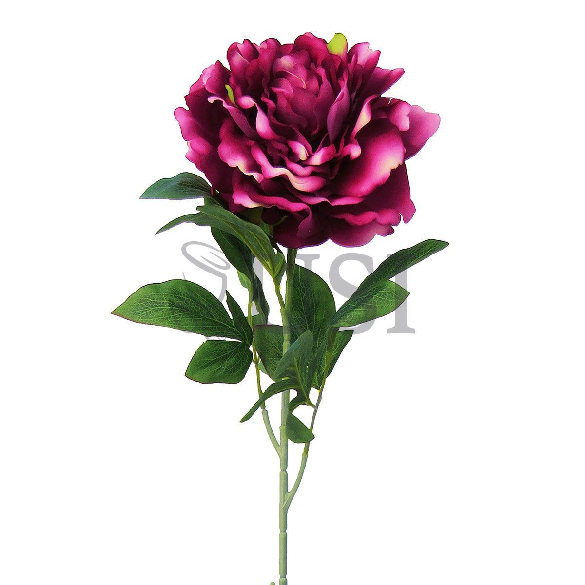 Velvet Jumbo Open Peony Flower Stem, 30in, Beauty