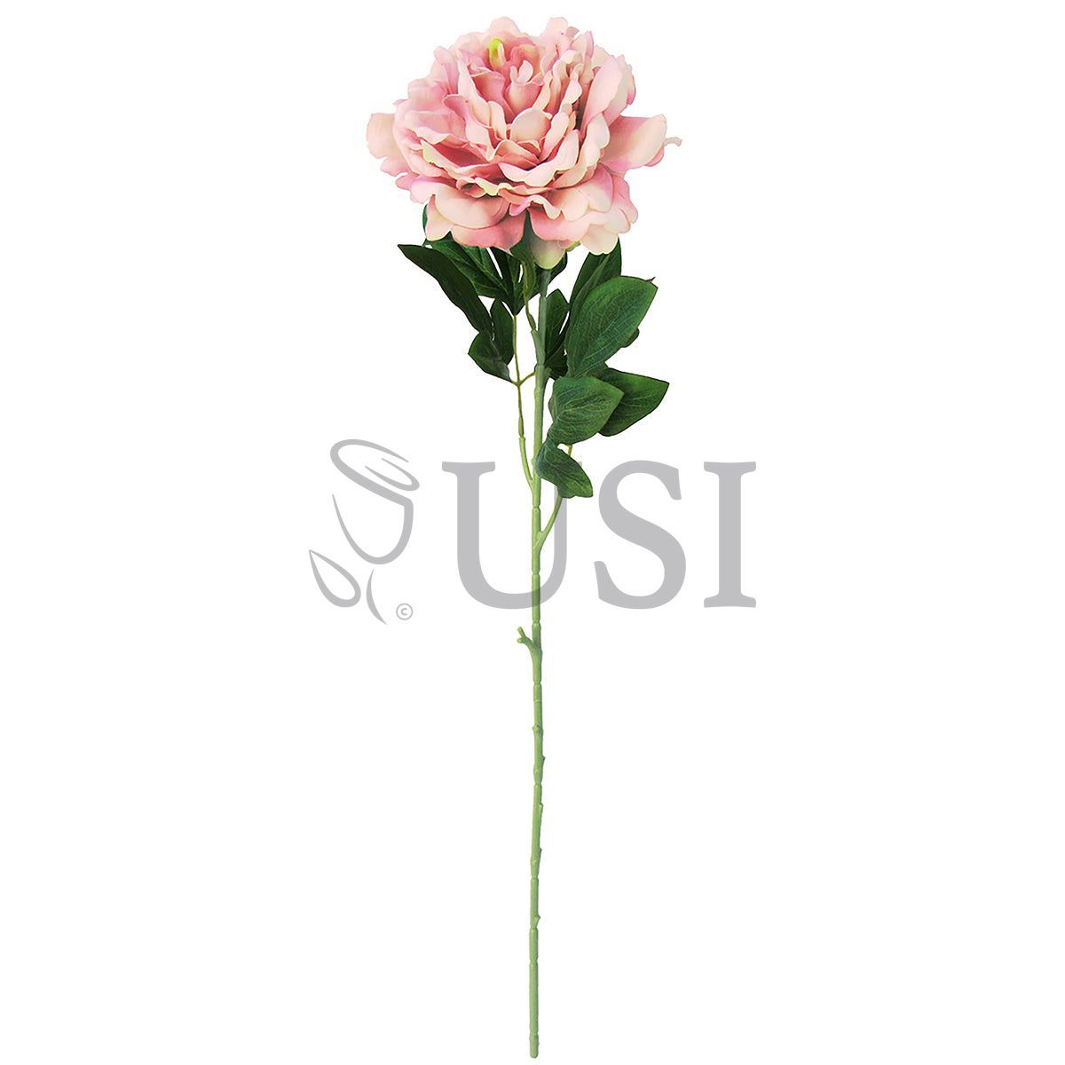 Velvet Jumbo Open Peony Flower Stem, 30in, Dusty Mauve