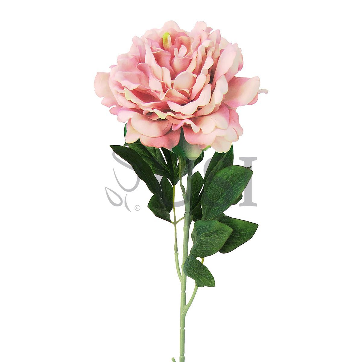 Velvet Jumbo Open Peony Flower Stem, 30in, Dusty Mauve