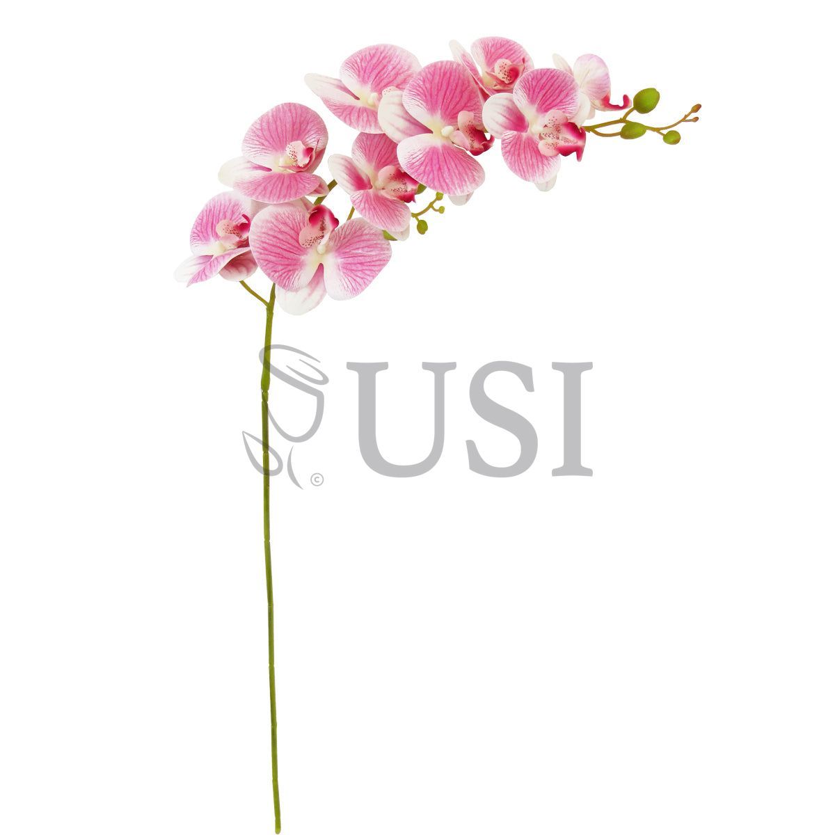Phalaenopsis Deluxe Natural Touch Orchid Stem 9 Flower, 38.5in, Cream Pink