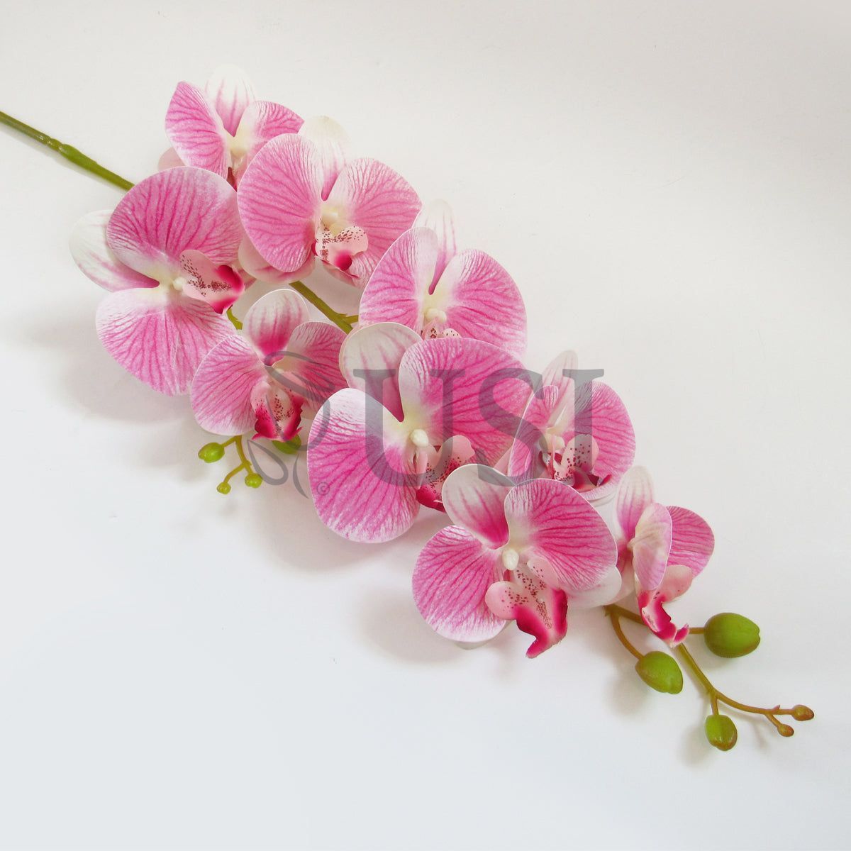 Phalaenopsis Deluxe Natural Touch Orchid Stem 9 Flower, 38.5in, Cream Pink