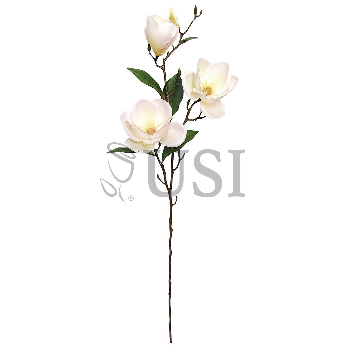 Large Magnolia Flower Spray x3, 38in, Cream White