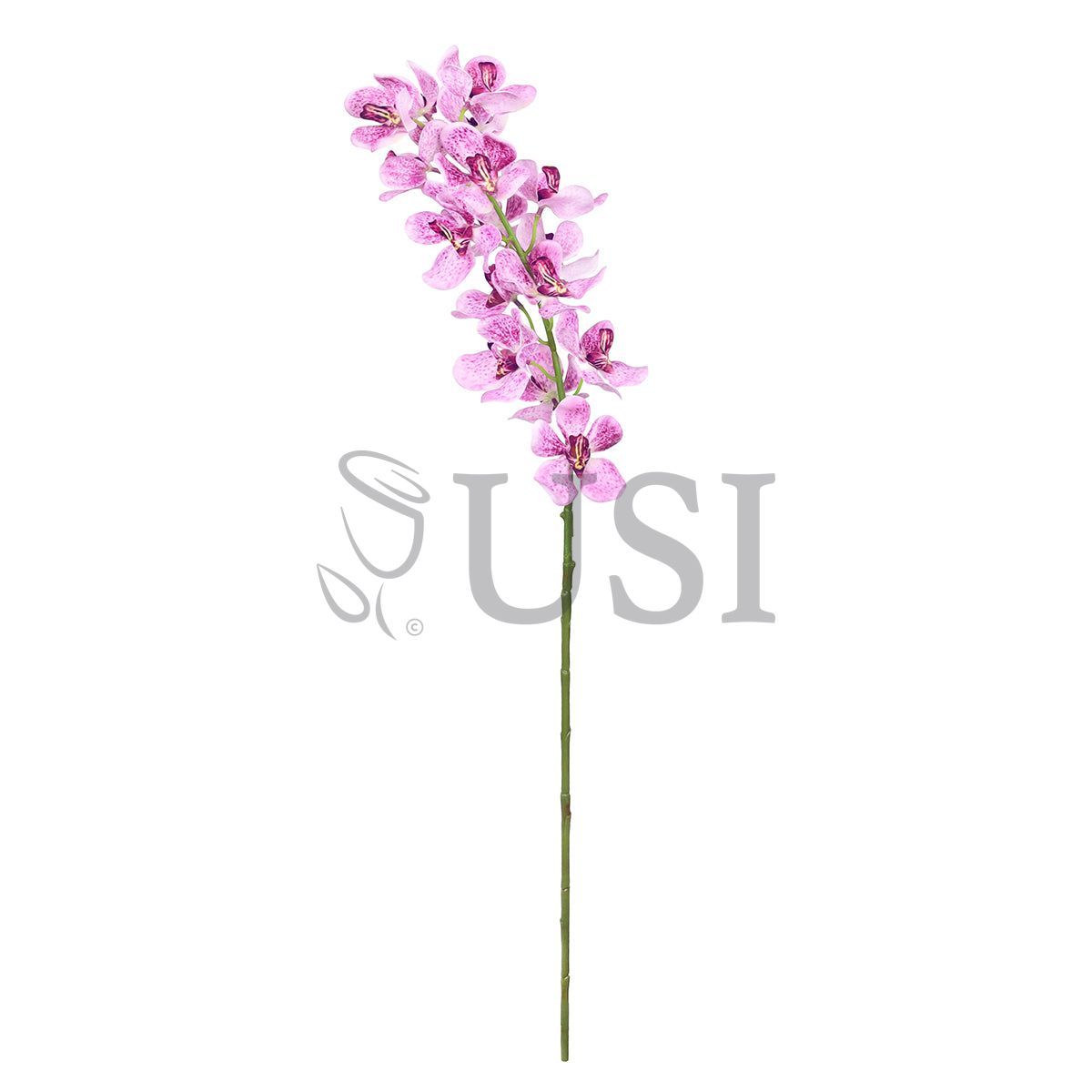 Vanda Orchid Flower Stem, 32in, Lavender