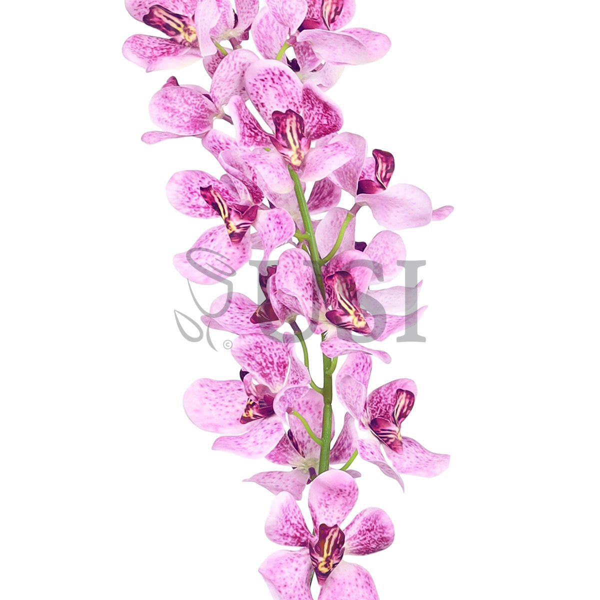 Vanda Orchid Flower Stem, 32in, Lavender