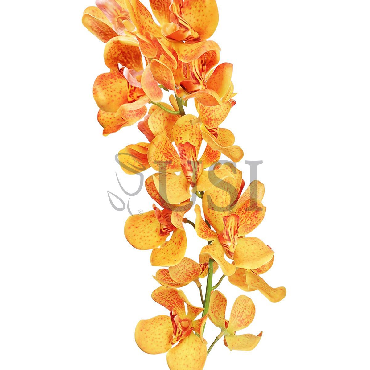 Vanda Orchid Flower Stem, 32in, Orange