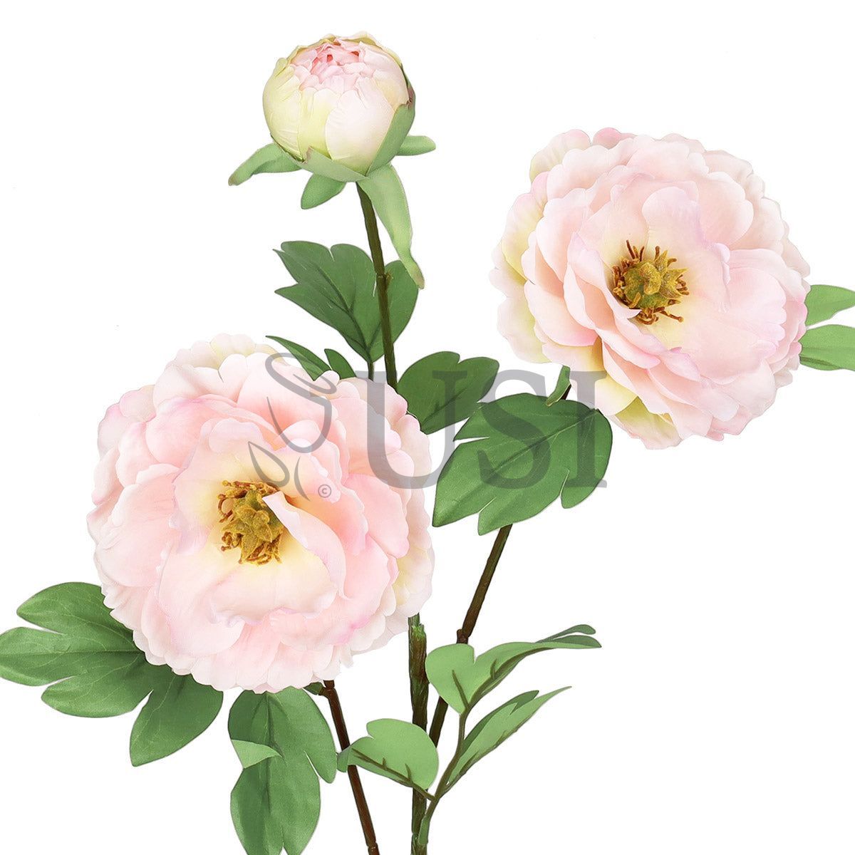 Tree Peony Flower Spray x 2 Flo 1 Bud, 29in, Blush Pink