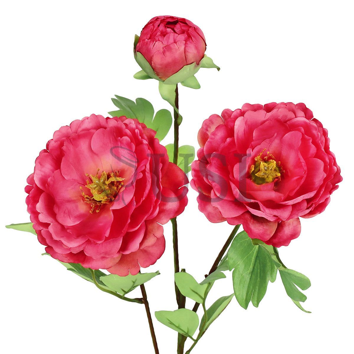 Tree Peony Flower Spray x 2 Flo 1 Bud, 29in, Red Beauty