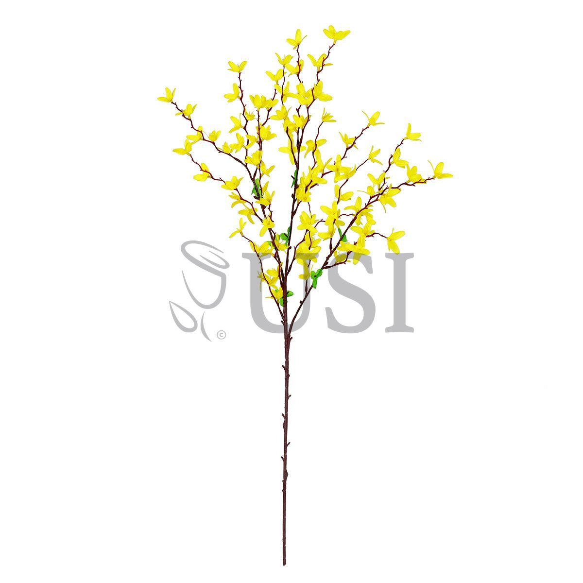 Forsythia Flower Spray, 32in, Yellow