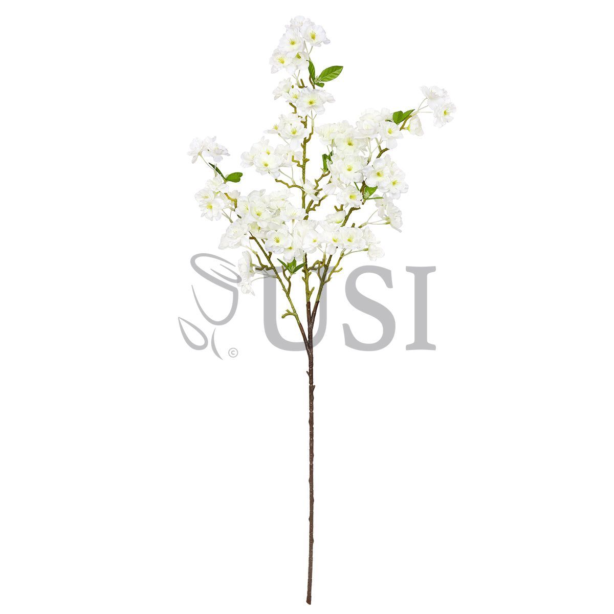Spring Cherry Blossom Flower Spray, 40in, Cream White