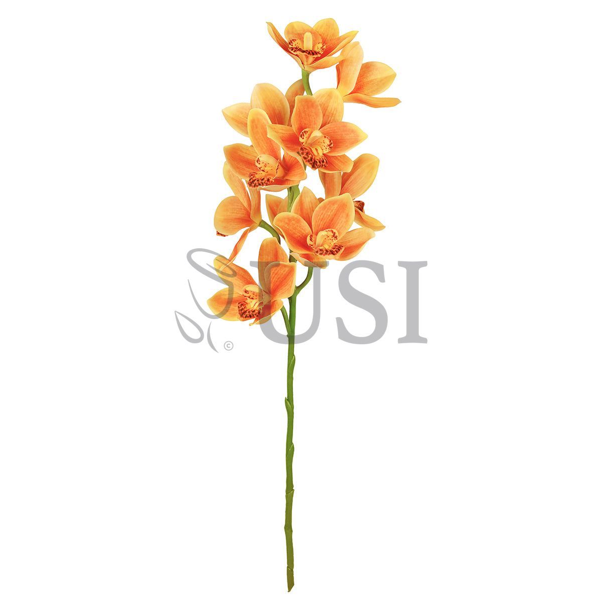 Large Cymbidium Orchid Flower Stem, 31in, Orange
