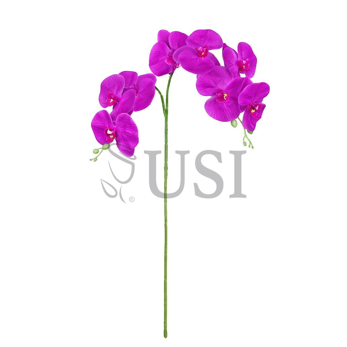Phalaenopsis Natural Touch Orchid Stem 8 Flo x2, 34in, Purple