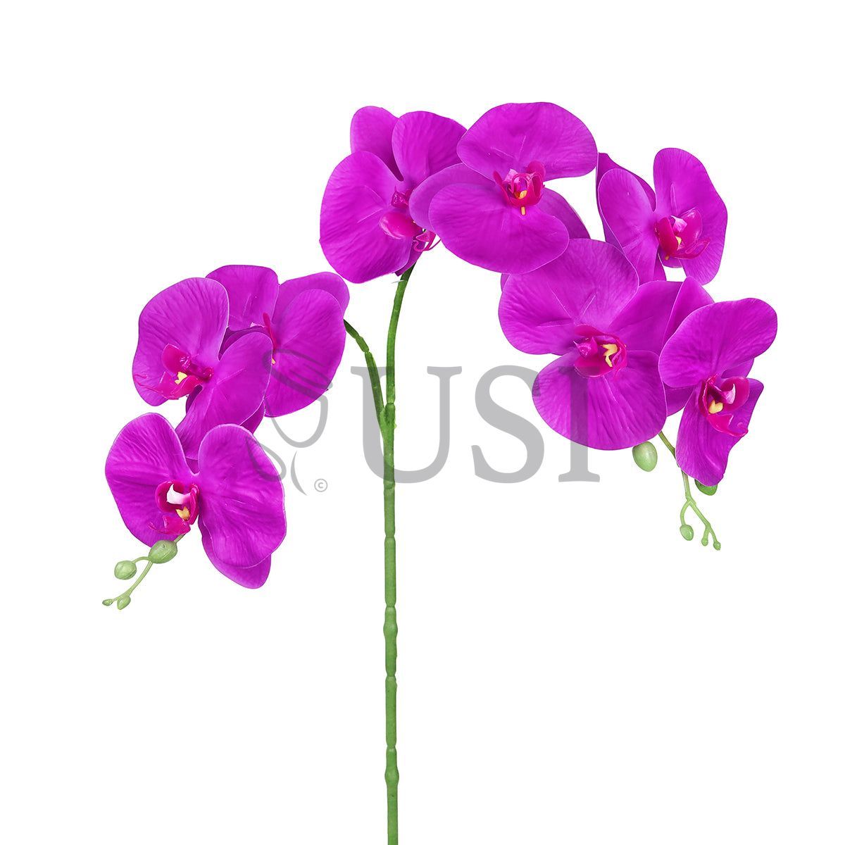 Phalaenopsis Natural Touch Orchid Stem 8 Flo x2, 34in, Purple
