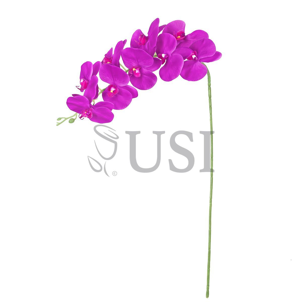 Phalaenopsis Natural Touch Orchid Stem 9 Flo, 40in, Purple