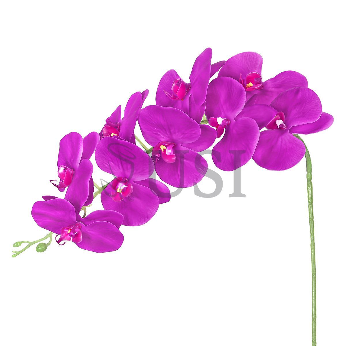 Phalaenopsis Natural Touch Orchid Stem 9 Flo, 40in, Purple