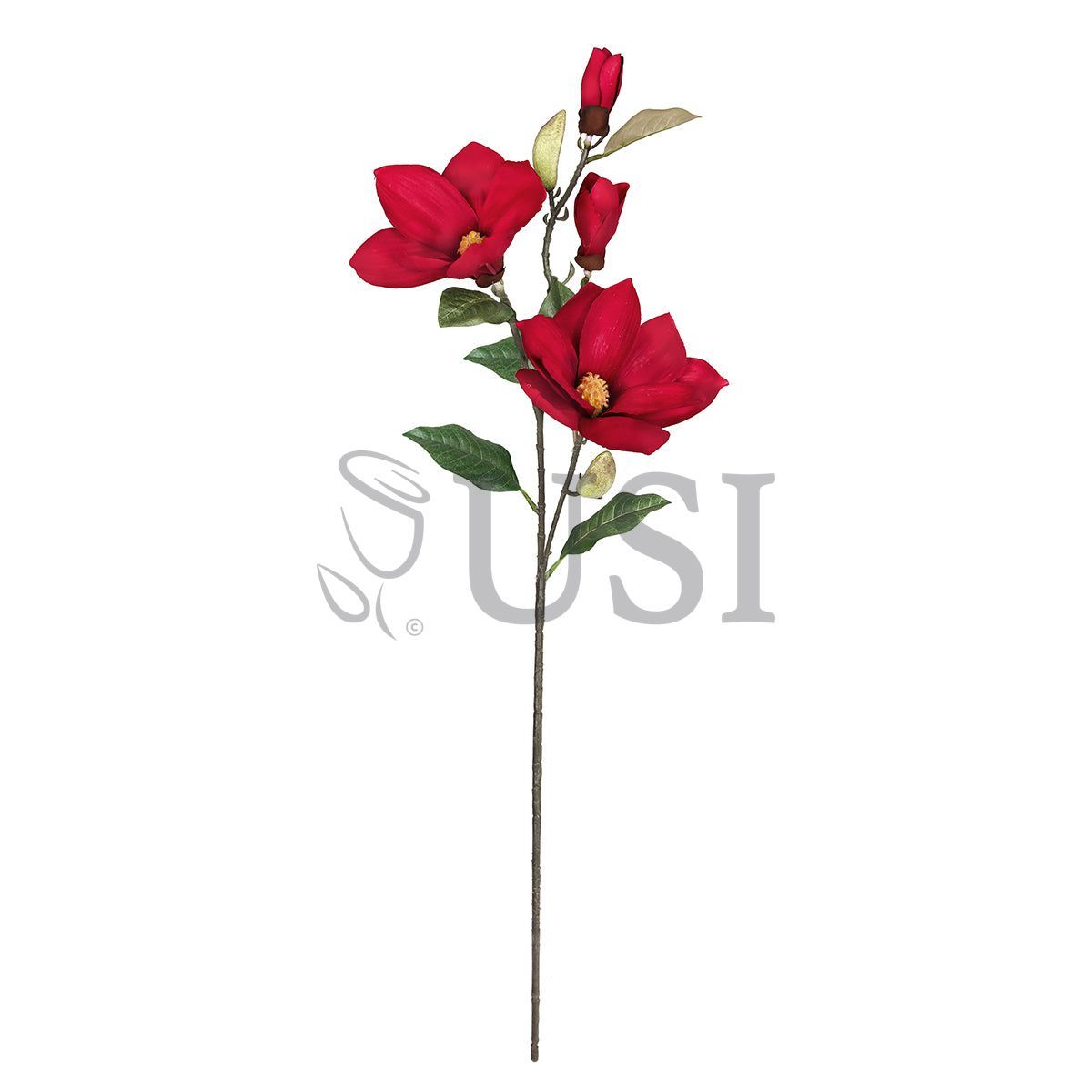 Magnolia Flower Spray x 4 Flo 2 Bud, 32in, Red