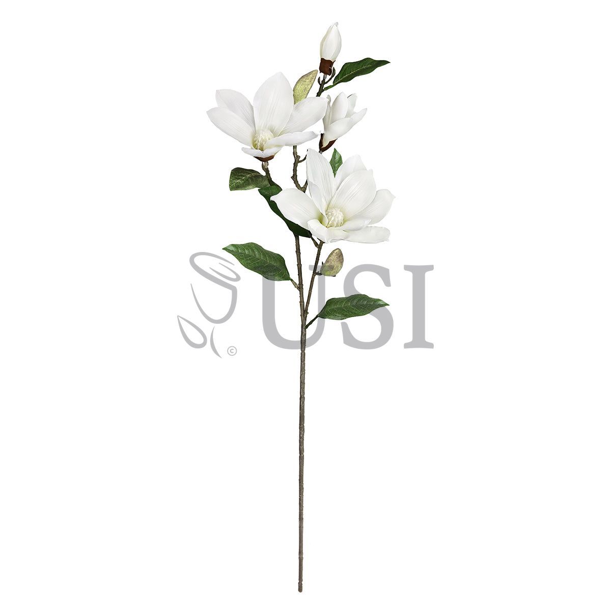 Magnolia Flower Spray x 4 Flo 2 Bud, 32in, White