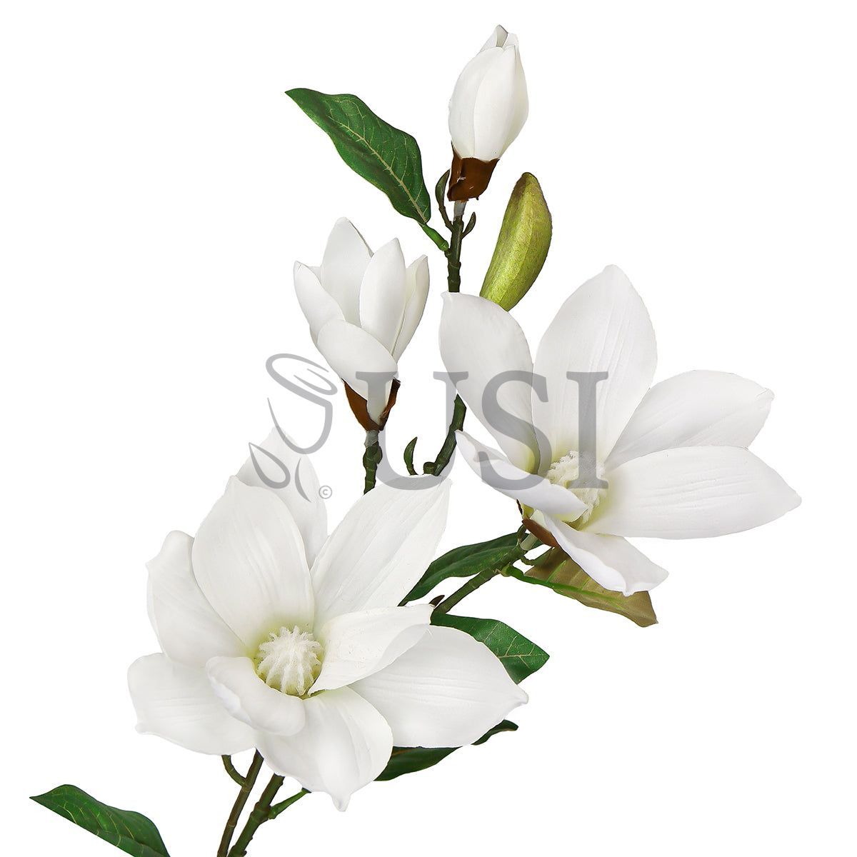 Magnolia Flower Spray x 4 Flo 2 Bud, 32in, White