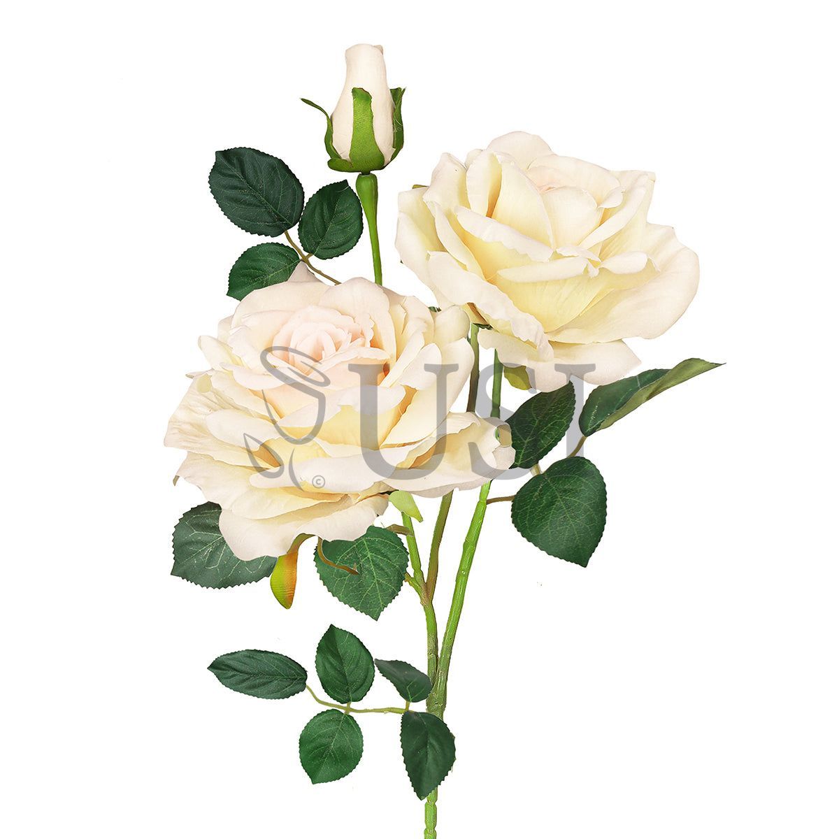 Velvet Elegant Rose Flower Spray x 2 Flo 1 Bud, 32in, Champagne Ivory