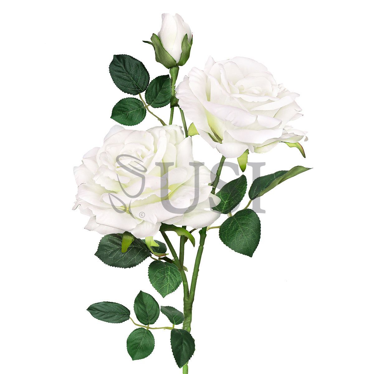 Velvet Elegant Rose Flower Spray x 2 Flo 1 Bud, 32in, Cream White