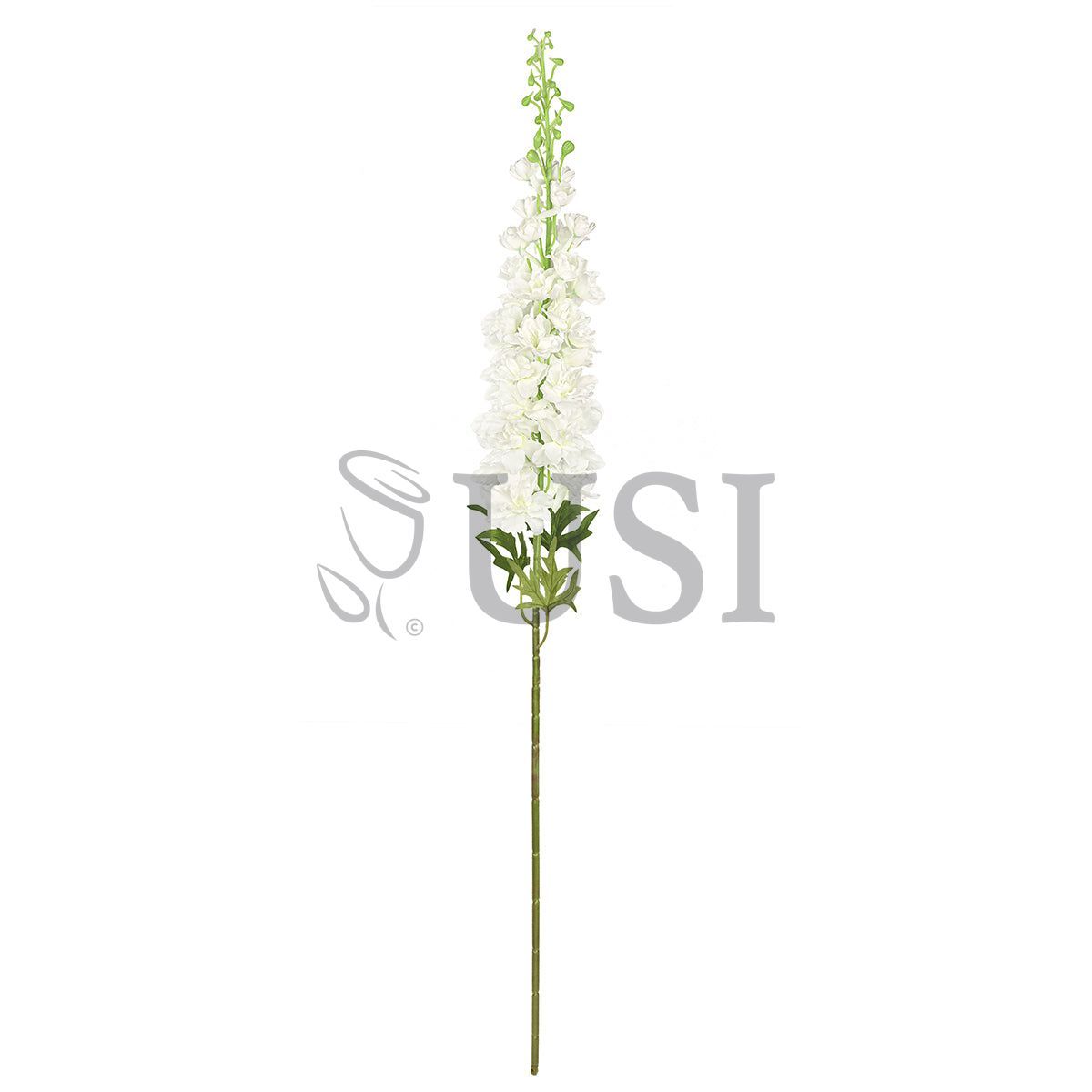 Large Delphinium Flower Spray, 49in, Cream White
