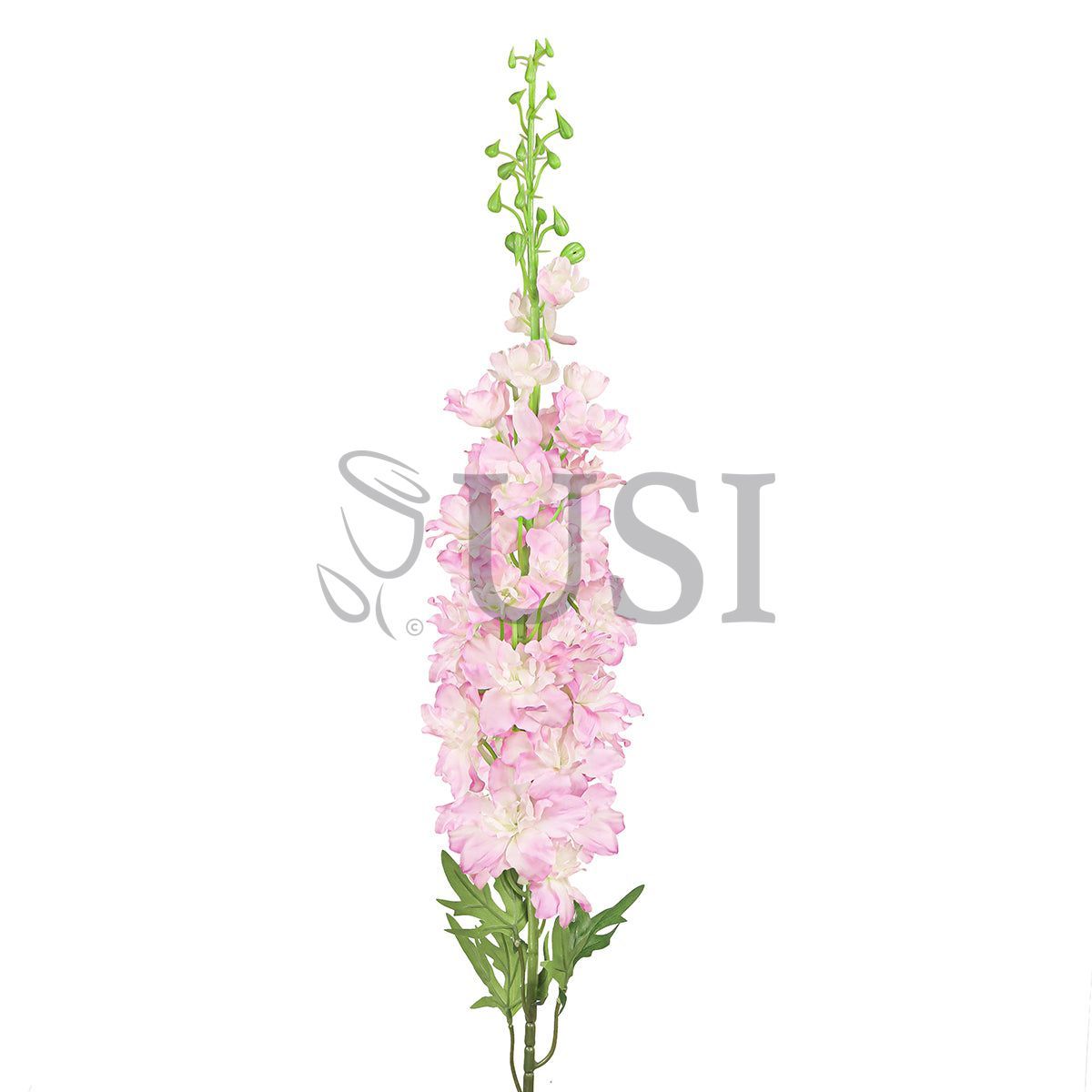Large Delphinium Flower Spray, 49in, Pink