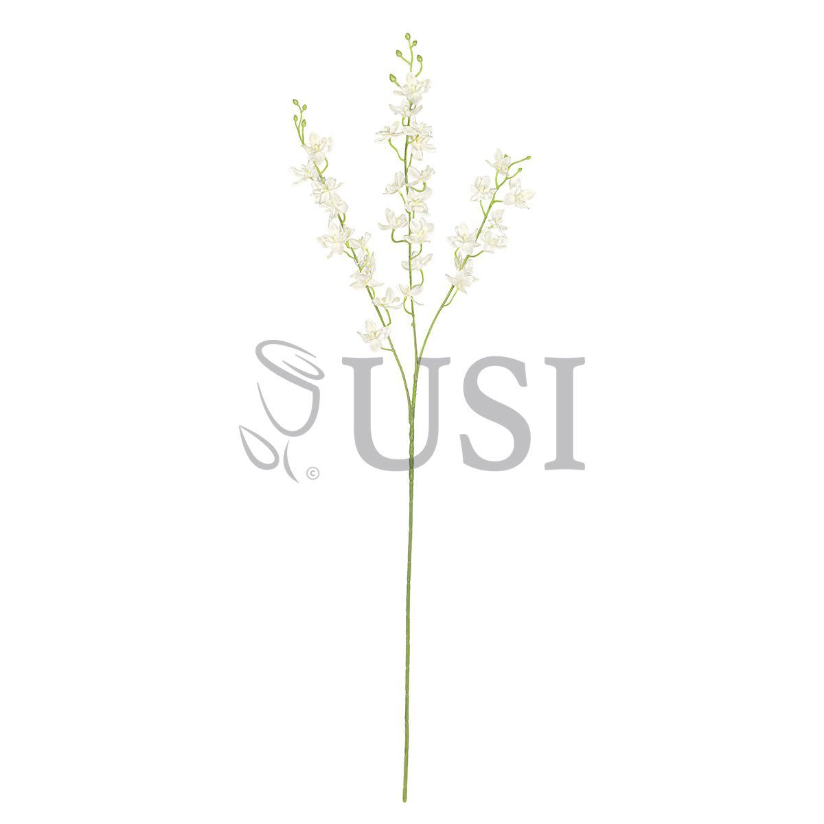 Petite Dendrobium Orchid Flower Spray x3, 34in, Cream White