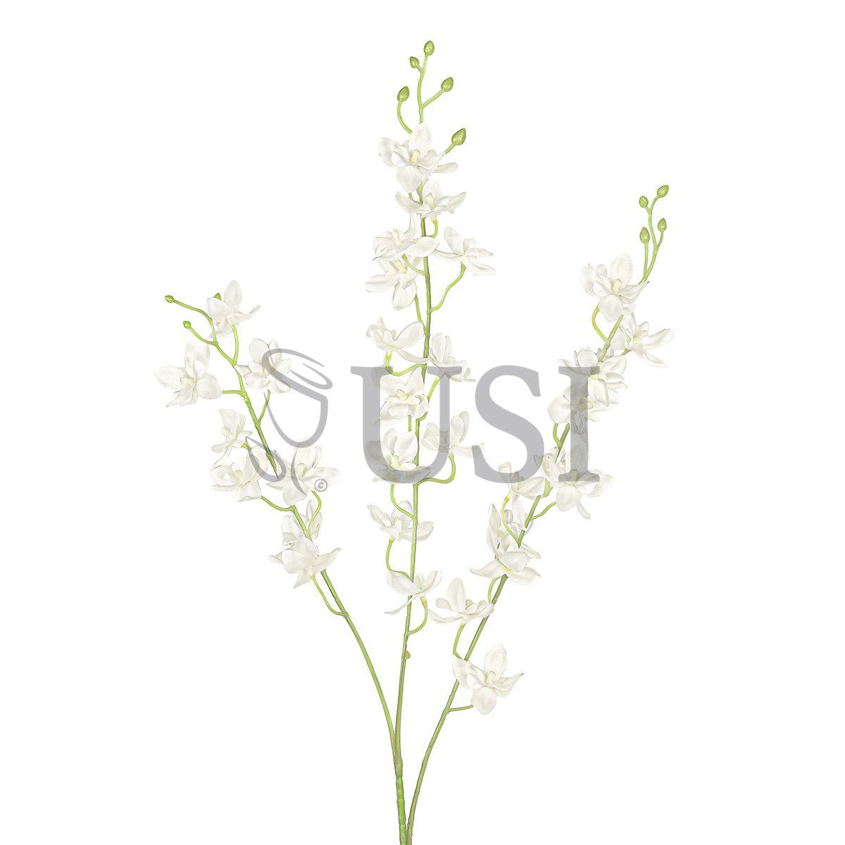 Petite Dendrobium Orchid Flower Spray x3, 34in, Cream White