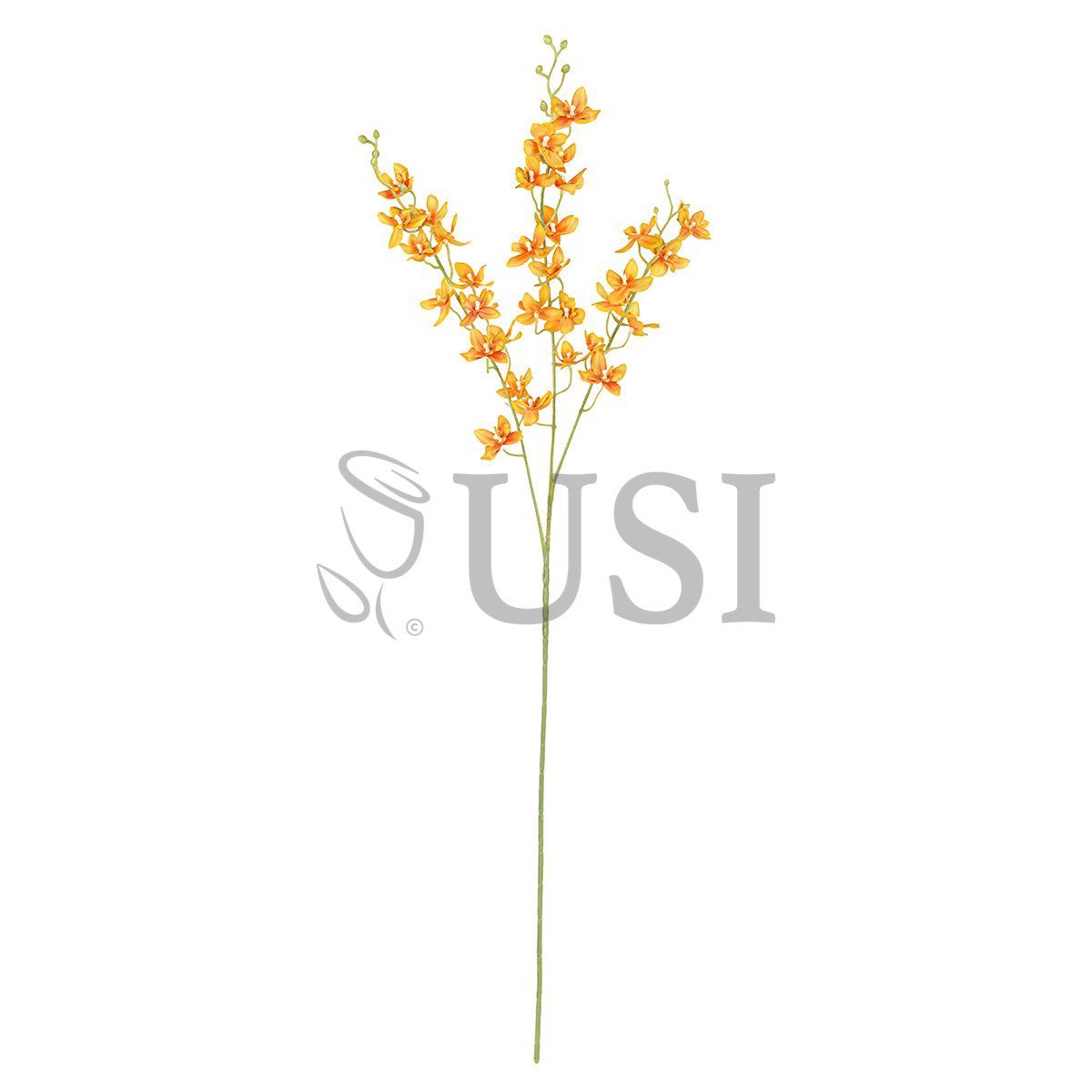 Petite Dendrobium Orchid Flower Spray x3, 34in, Orange