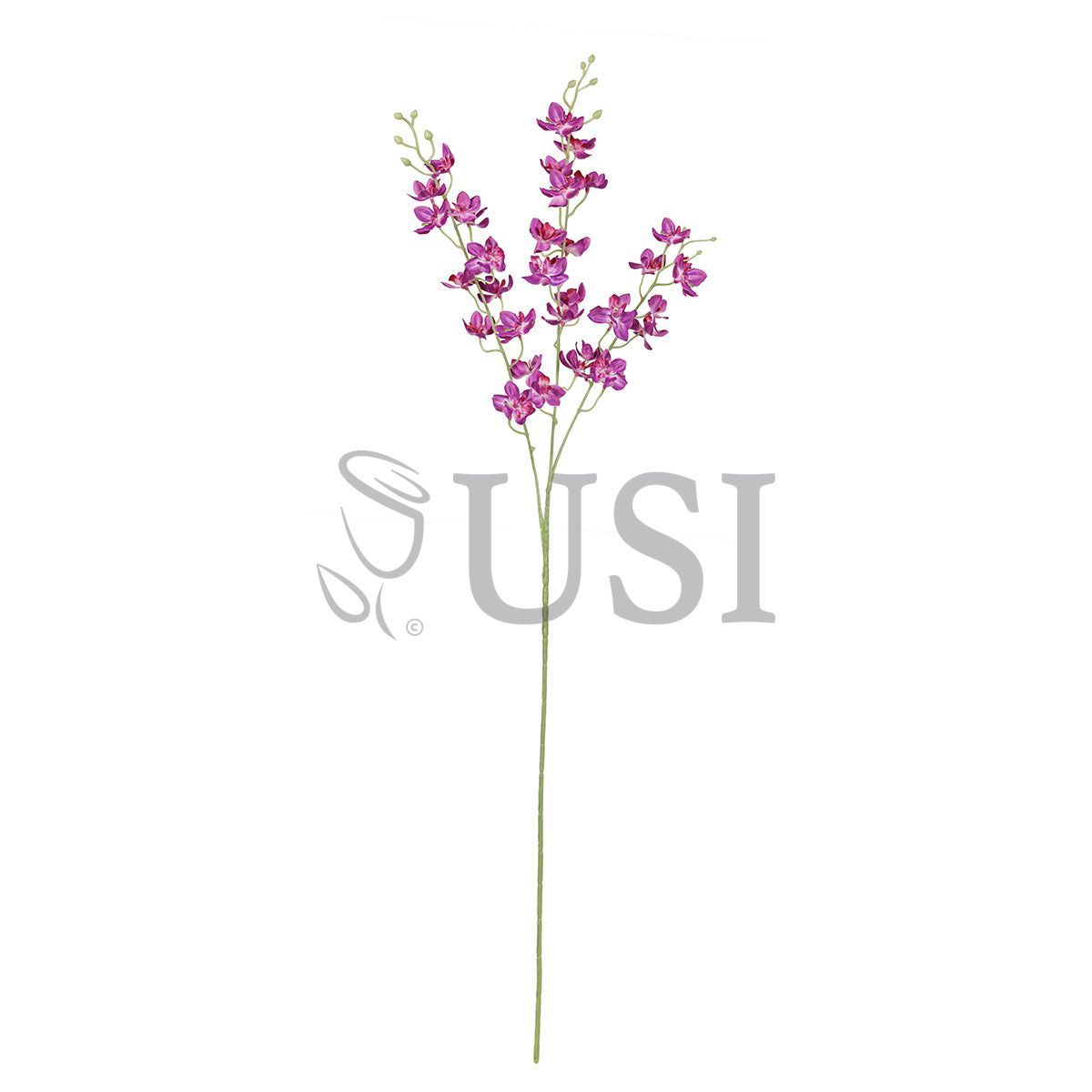 Petite Dendrobium Orchid Flower Spray x3, 34in, Purple Fuchsia
