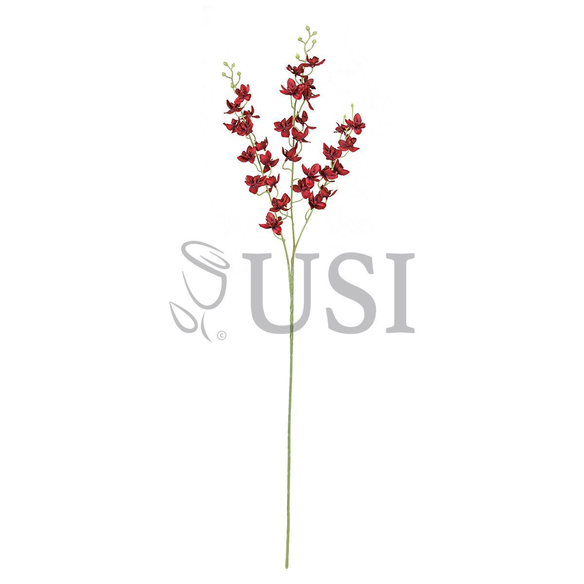 Petite Dendrobium Orchid Flower Spray x3, 34in, Red