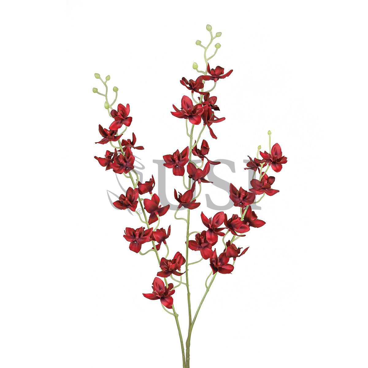 Petite Dendrobium Orchid Flower Spray x3, 34in, Red