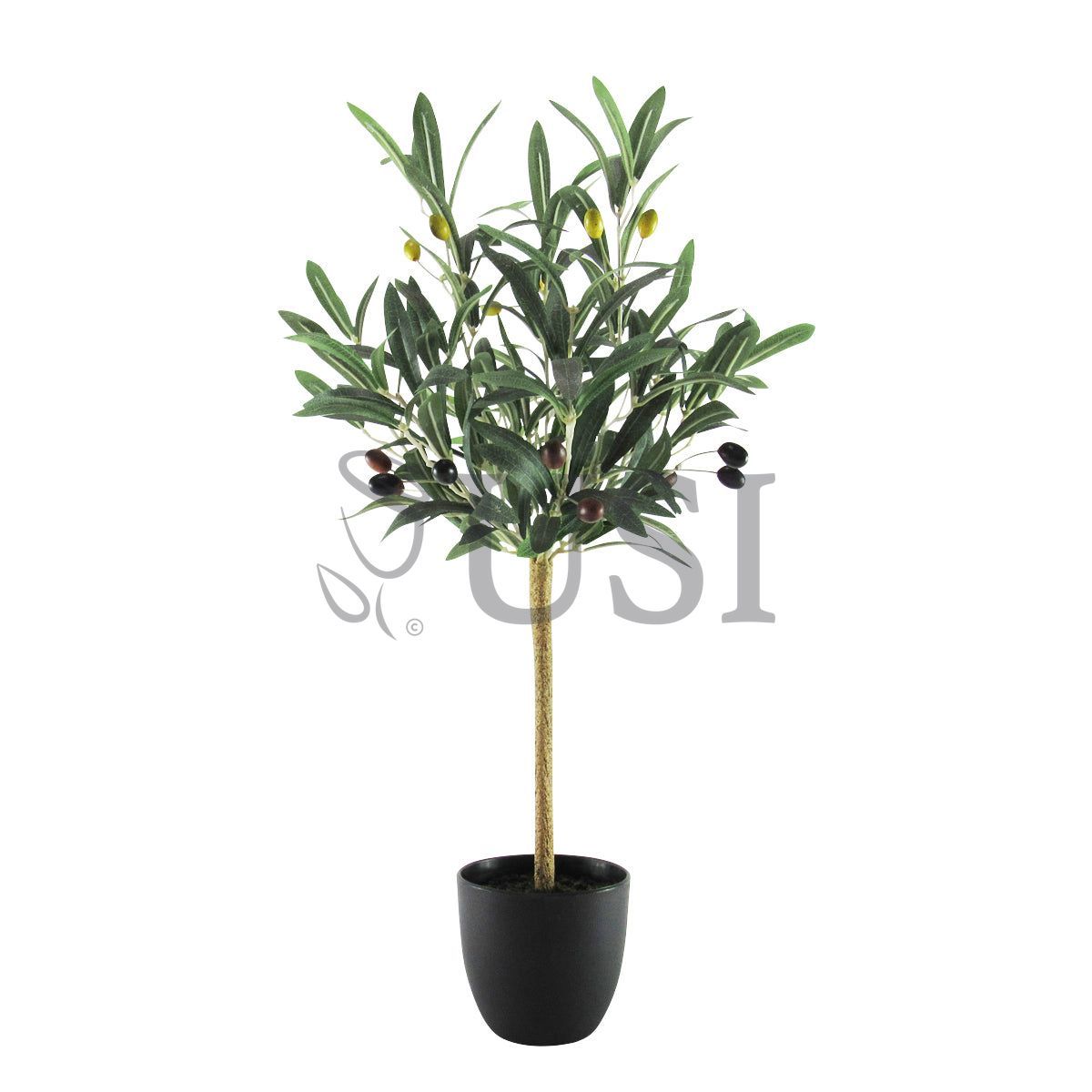 Petite Olive Tree Potted w Fruits, 24in, Green