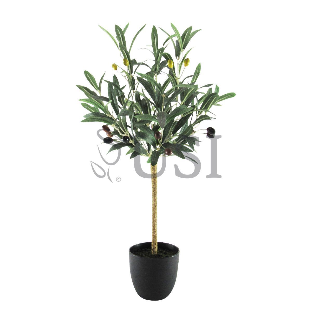 Petite Olive Tree Potted w Fruits, 24in, Green