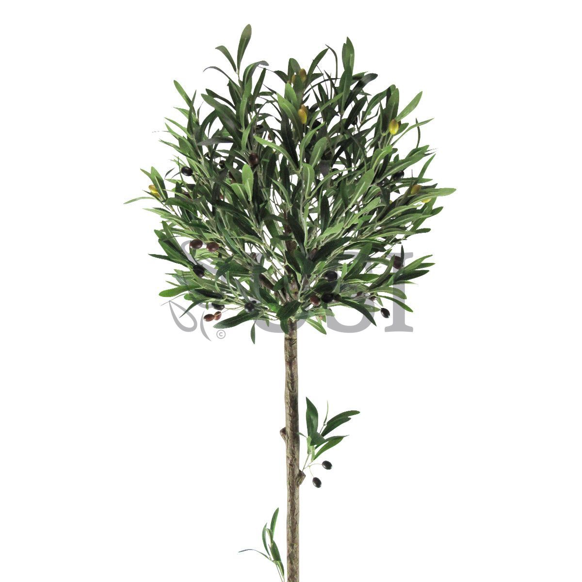 Topiary Olive Tree Potted w Fruits, 48in, Green