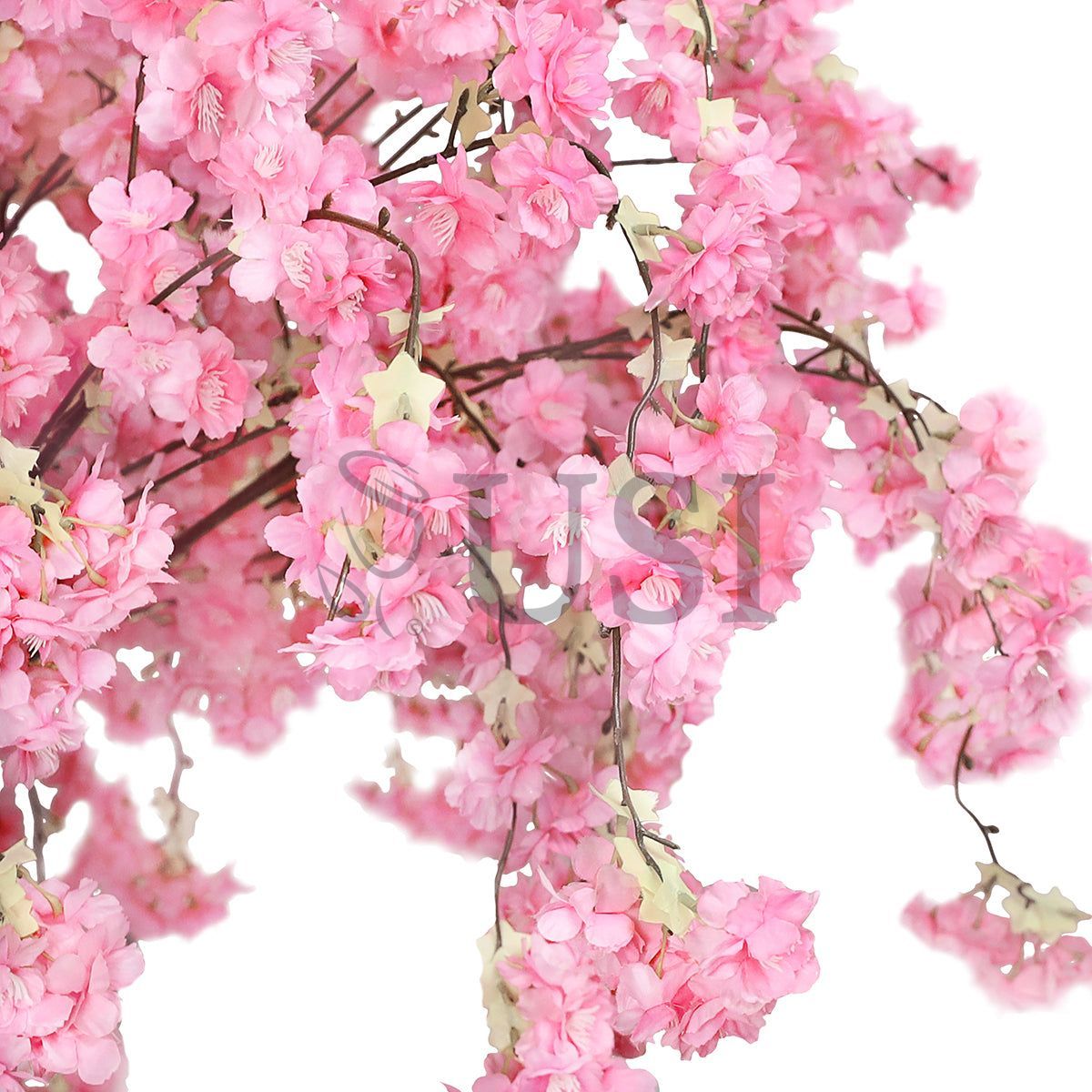 Japanese Hanging Cherry Blossom Flower Tree, 4.5ft, Pink