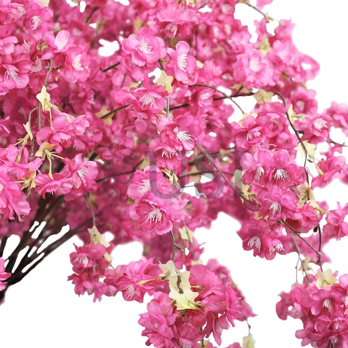 Japanese Hanging Cherry Blossom Flower Tree, 4.5ft, Fuchsia