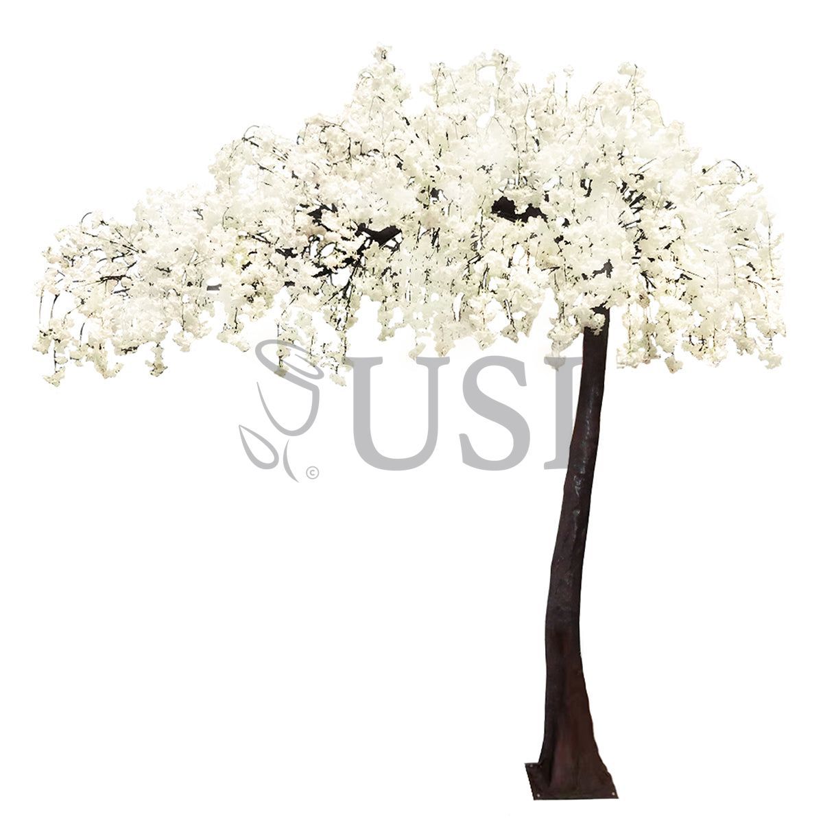 Japanese Hanging Cherry Blossom Arch Flower Tree, 10ft, Cream White