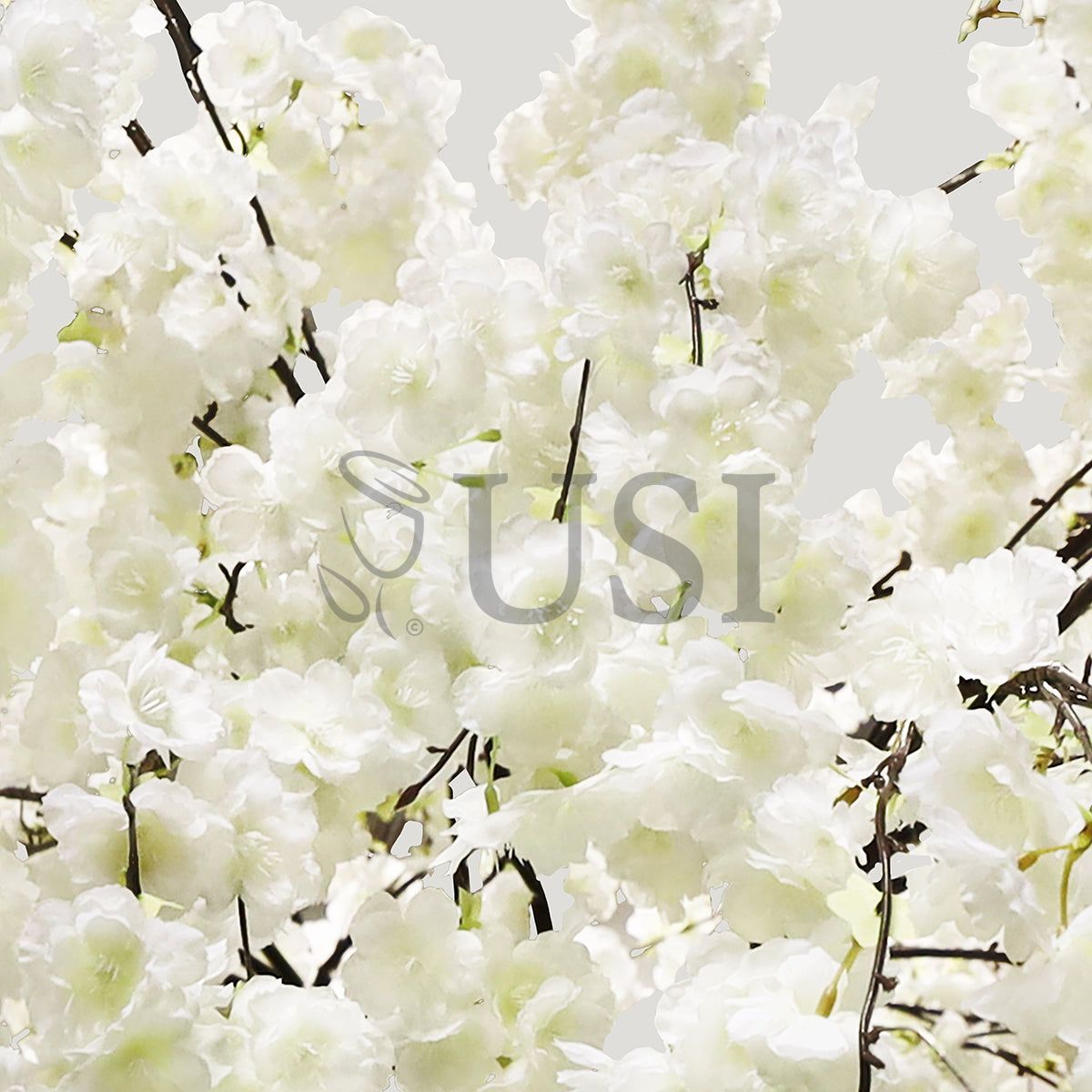 Japanese Hanging Cherry Blossom Arch Flower Tree, 10ft, Cream White