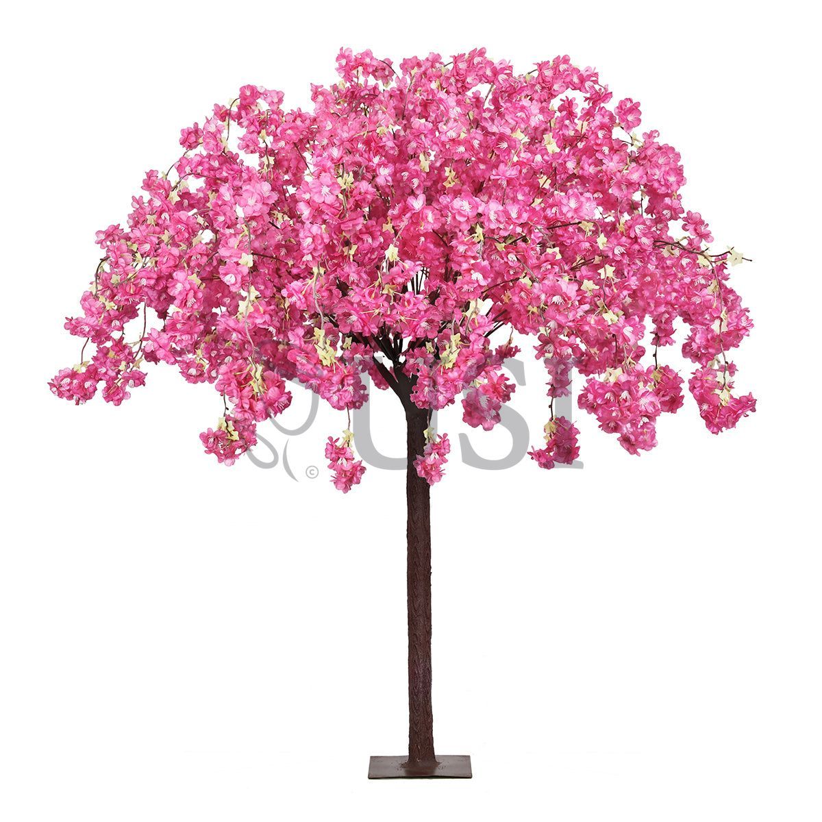 Japanese Hanging Cherry Blossom Flower Tree, 5.5ft, Fuchsia