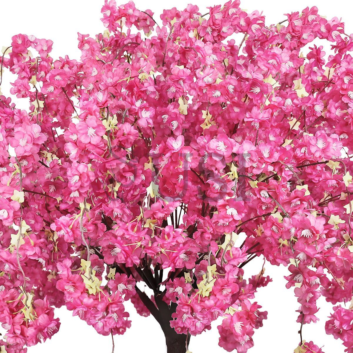 Japanese Hanging Cherry Blossom Flower Tree, 5.5ft, Fuchsia