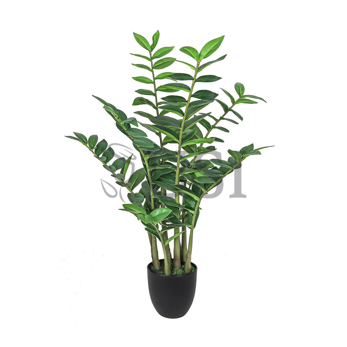 Zamiifolia ZZ Plant Real Touch Potted, 32in, Green