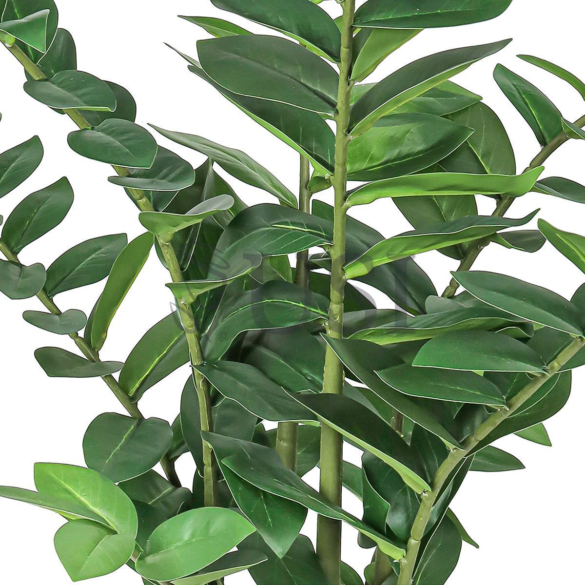 Zamiifolia ZZ Plant Real Touch Potted, 32in, Green