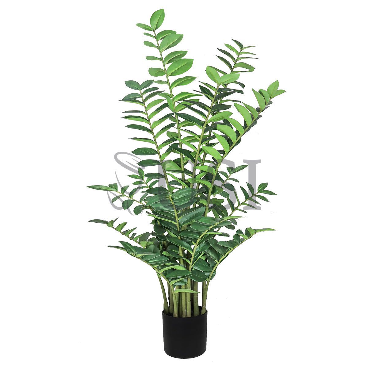 Zamiifolia ZZ Plant Real Touch Potted, 50in, Green